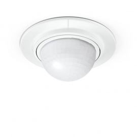 55079.jpg[20729]